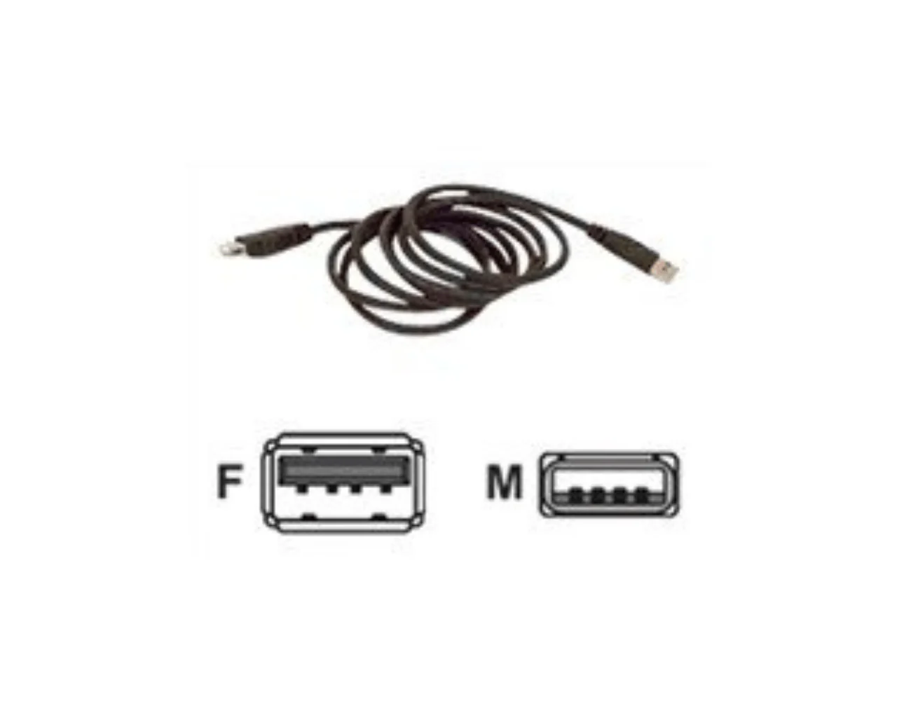 Belkin USB 2.0 Male to USB 2.0 Female Extension Cable 1.8M - Image 2